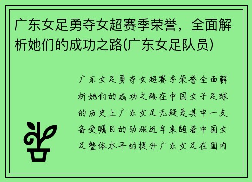 广东女足勇夺女超赛季荣誉，全面解析她们的成功之路(广东女足队员)